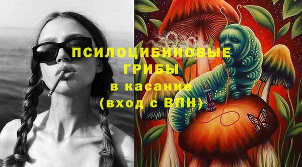 МДПВ Нефтегорск