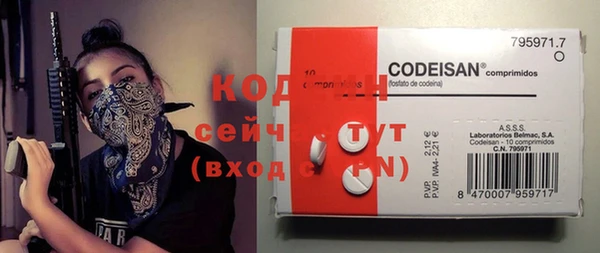 индика Бежецк