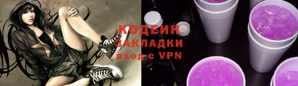 индика Бежецк