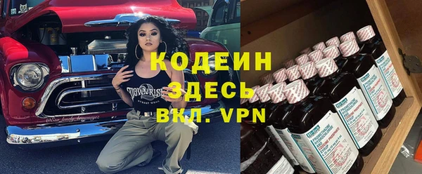 индика Бежецк